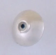 B113