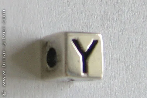 BS1-Y - Image 2