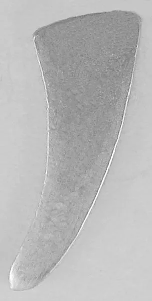 MH-06-E - Image 2